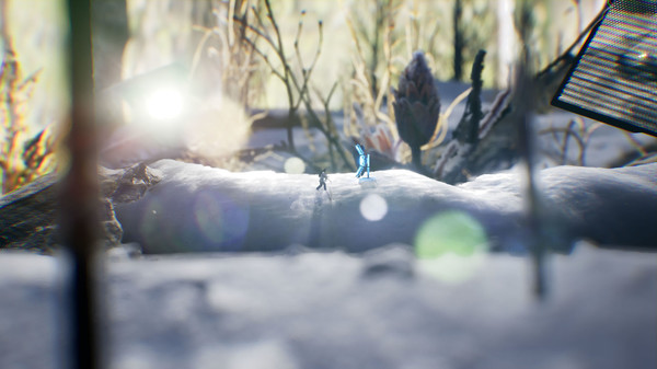 Скриншот из Big Earth