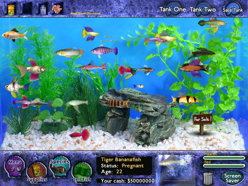 Magic Fishes, Fish Tycoon Wiki