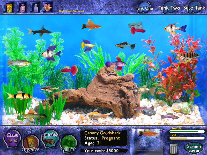 Fish Tycoon on Steam