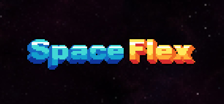Space Flex Cover Image