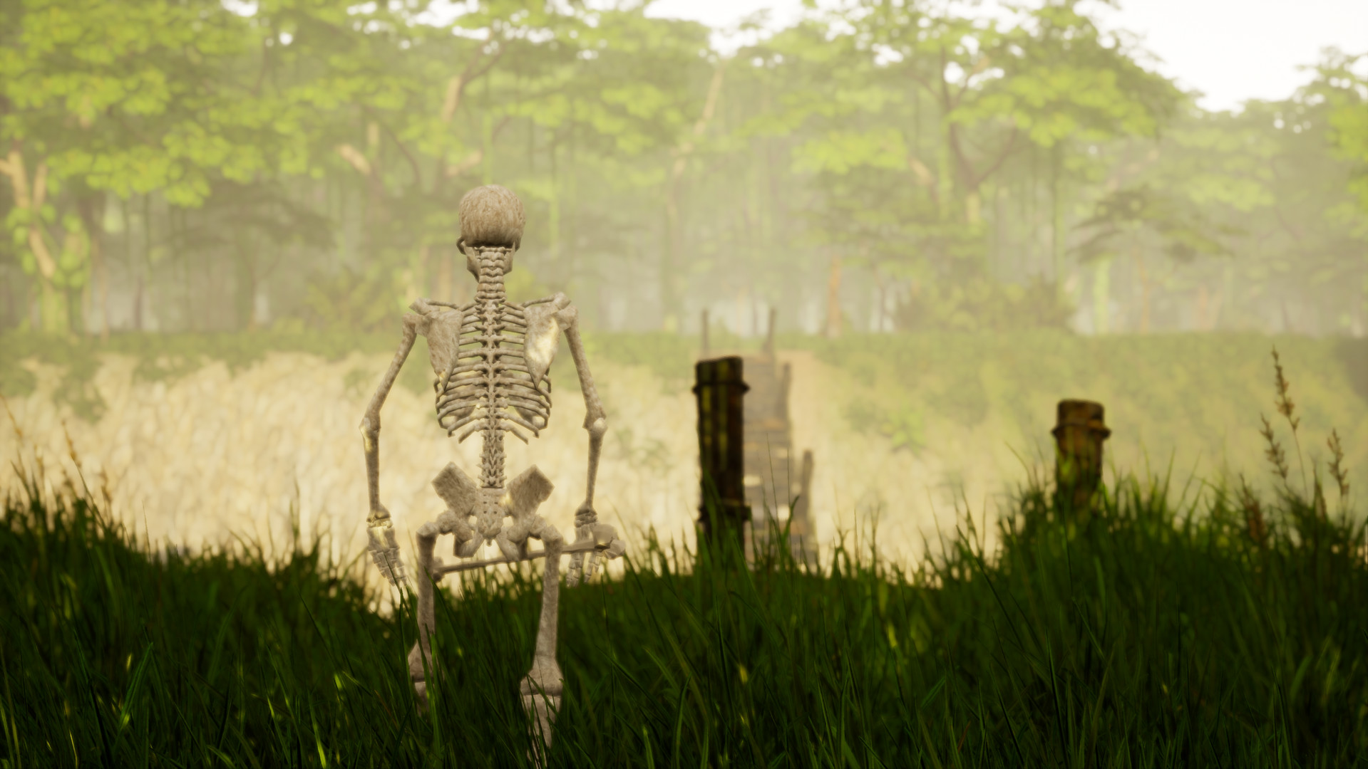 The Sole Survivor PC gameplay screenshot 1 of 4