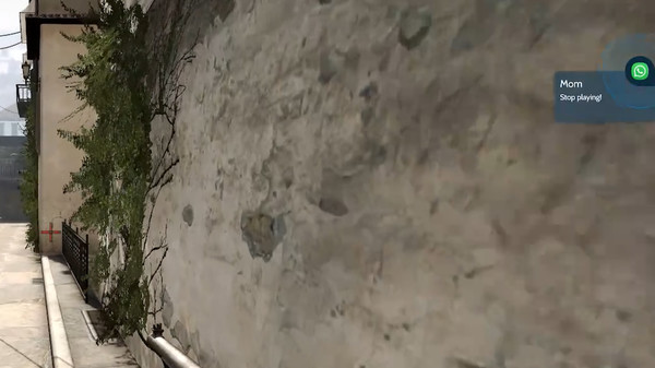 INREALfor windows and Linux 1