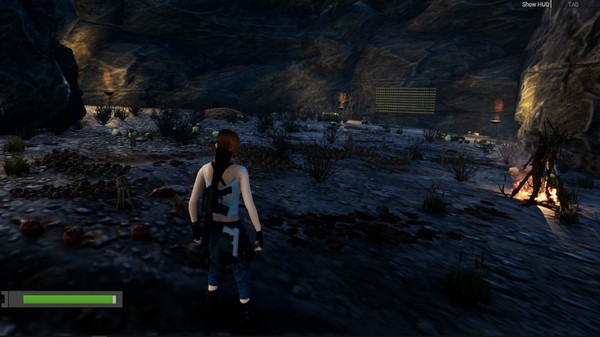 Скриншот из The Amethyst Stones