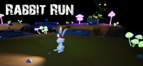 Rabbit Run Cover Image