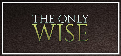 The Only Wise Cover Image