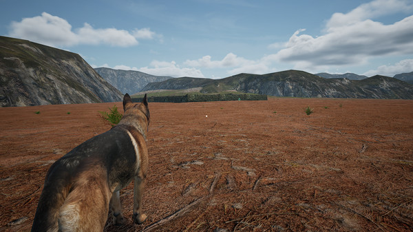 Скриншот из Dog_Fox_Bunny