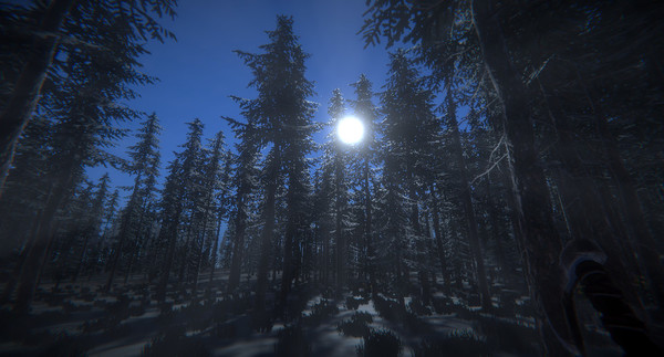 скриншот Fimbul Winter VR 3