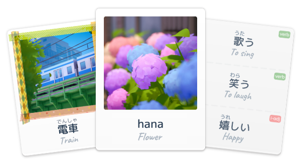 Shashingo_Flash_Cards.png?t=1709211400