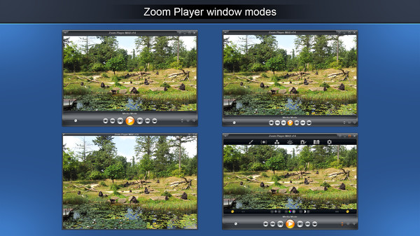 Zoom Player 16 : Steam Edition
