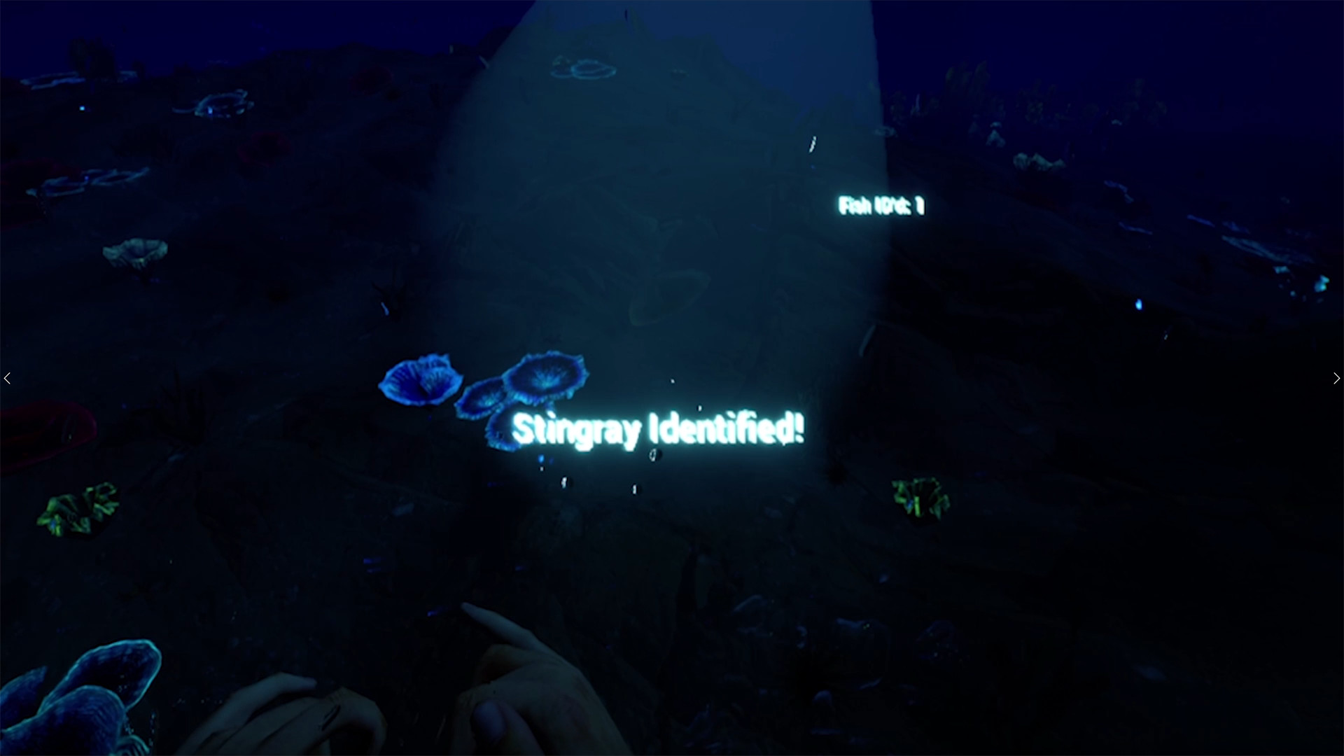 Bodies of Water VR #5