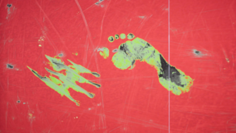 The Ghost - Task of the Ghost Hunters #10