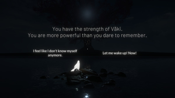 Runofor windows and Linux 1