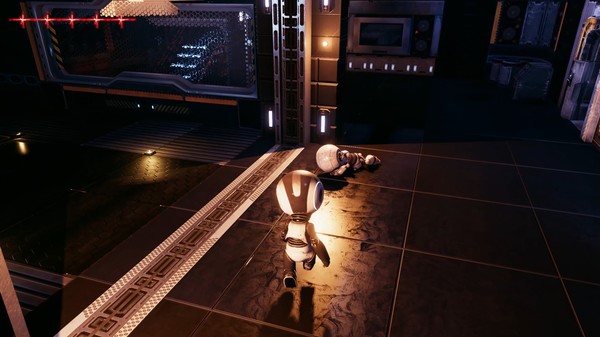 SUPER BOTfor windows and Linux 1