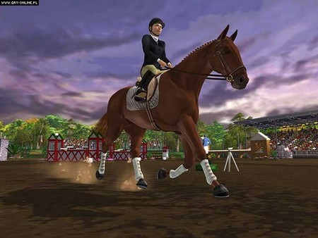 Lucinda Equestrian Challenge