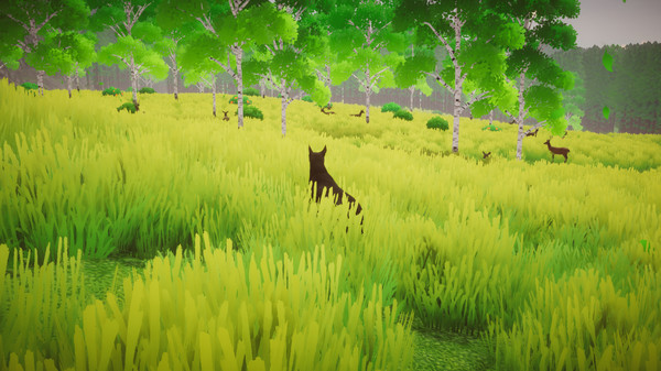 Djangofor windows and Linux 1