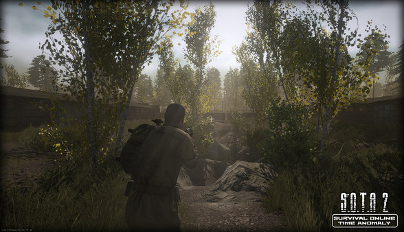 Скриншот из S.O.T.A 2