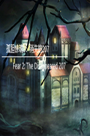 孤胆惊魂2：消失的207（Fear 2: The Disappeared 207） cover