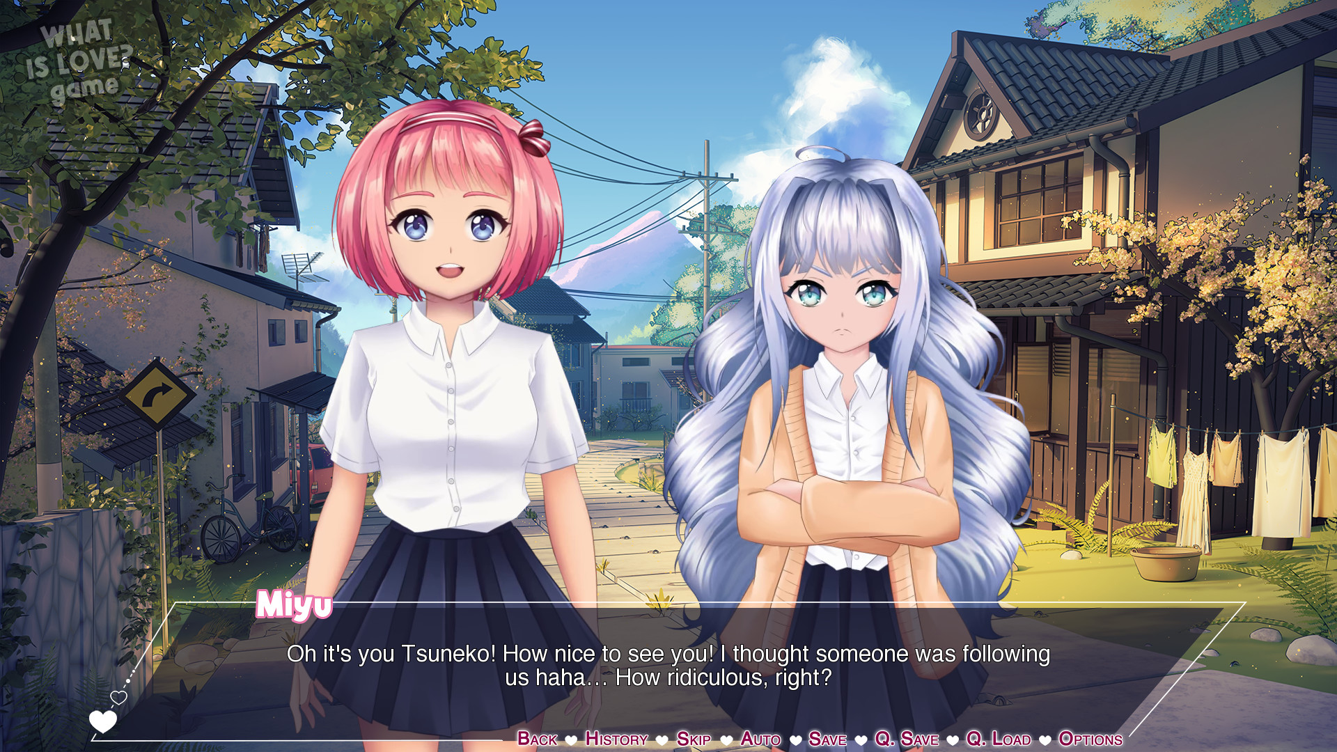 What Is Love? Anime Visual Novel Vol. 1 #5