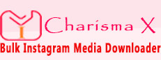 Charisma X: Bulk Instagram Media Downloader 게임 이미지