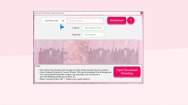 Charisma X: Bulk Instagram Media Downloader game for Linux 1