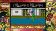 Teenage Mutant Ninja Turtles: The Cowabunga Collection picture9
