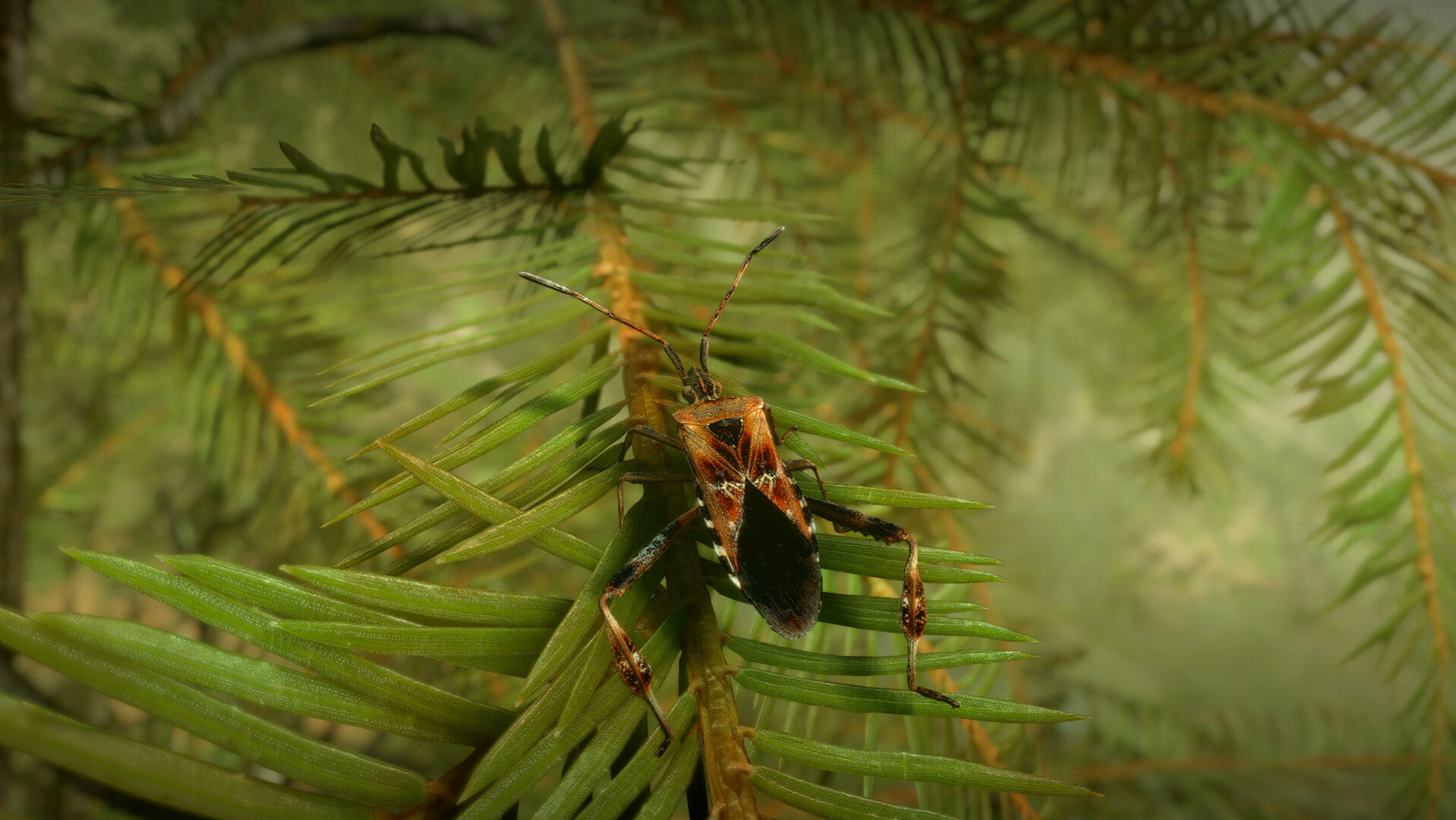Insect Worlds Demo #5