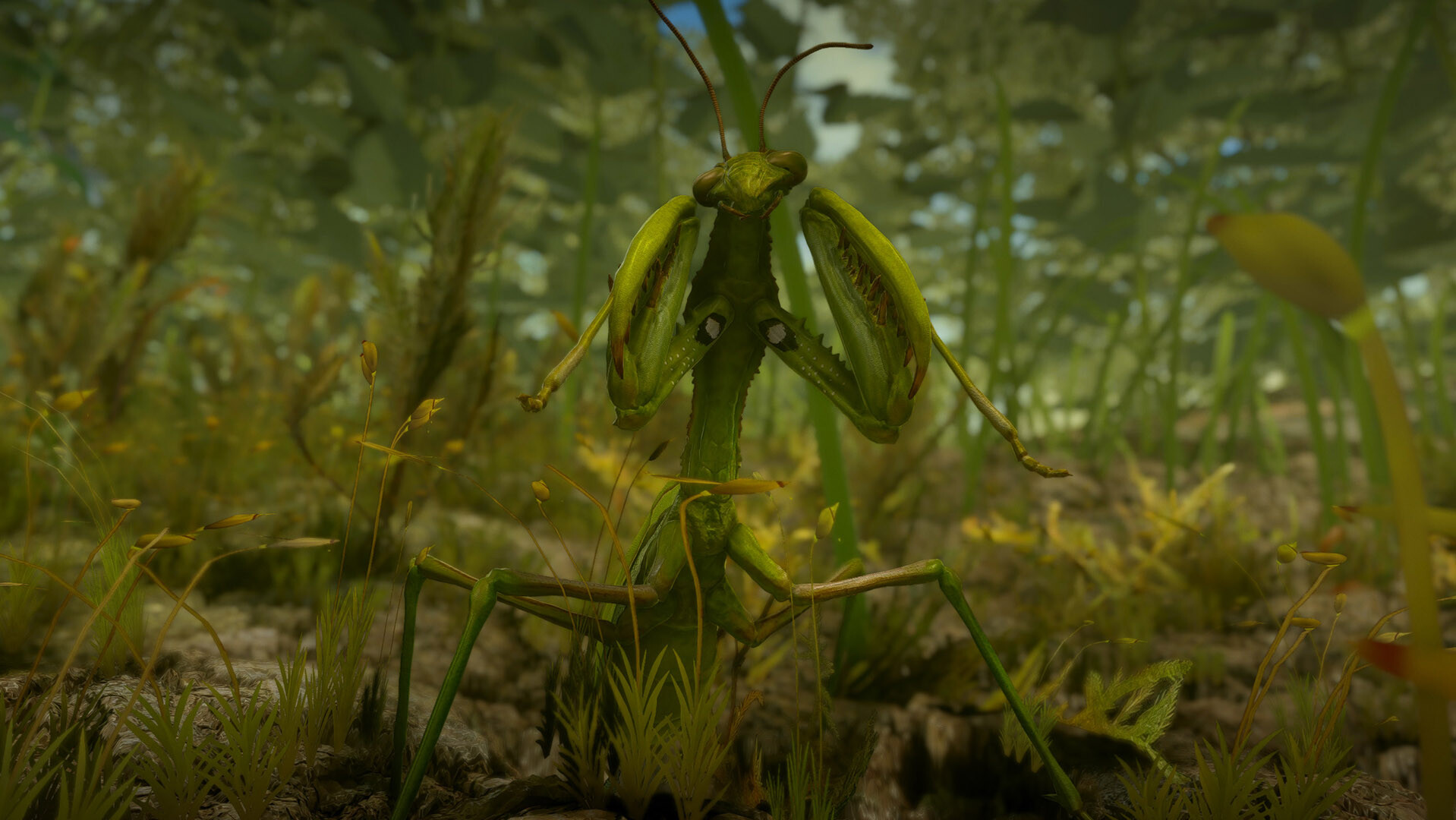 Insect Worlds Demo #9