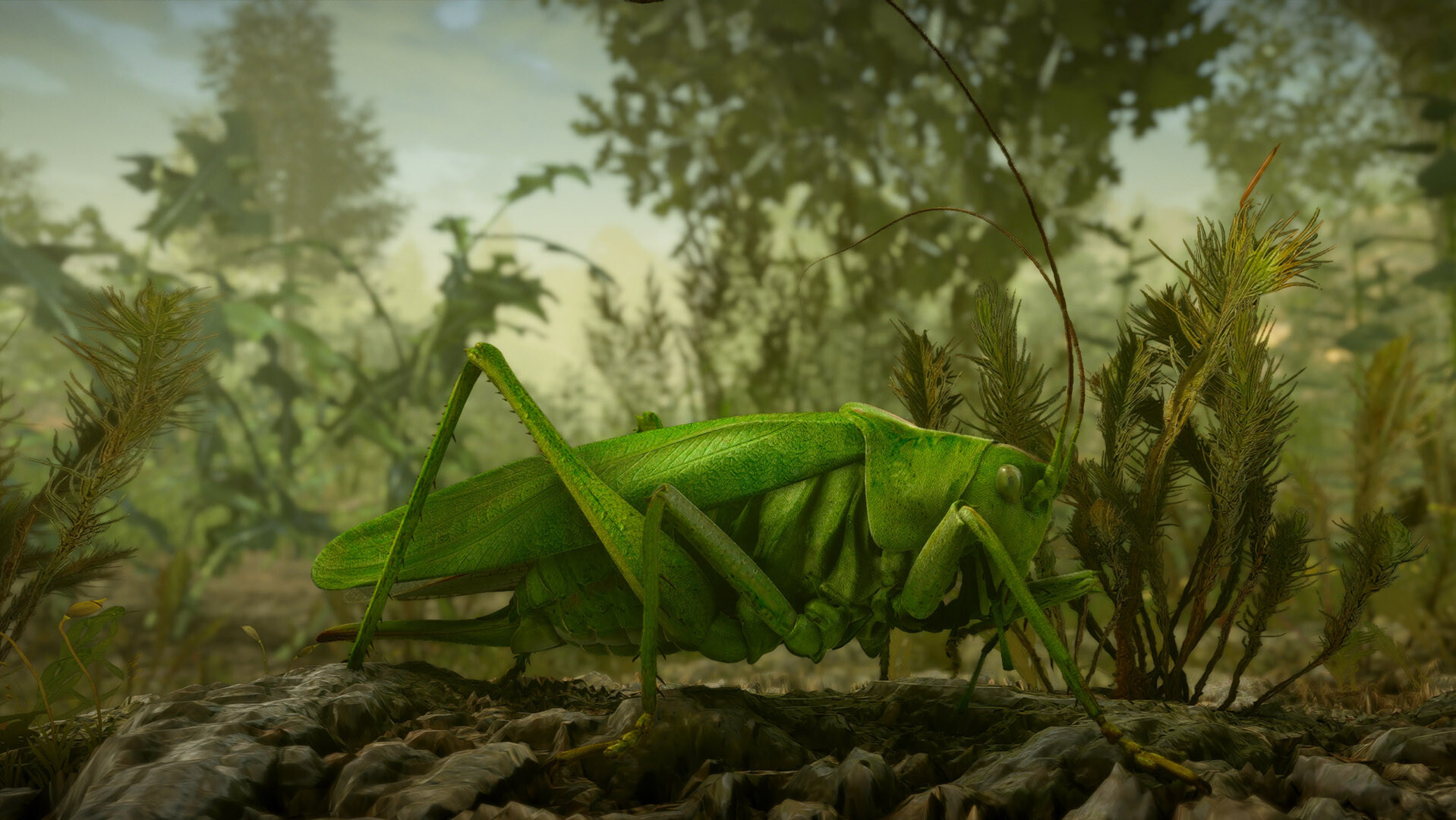 Insect Worlds Demo #2