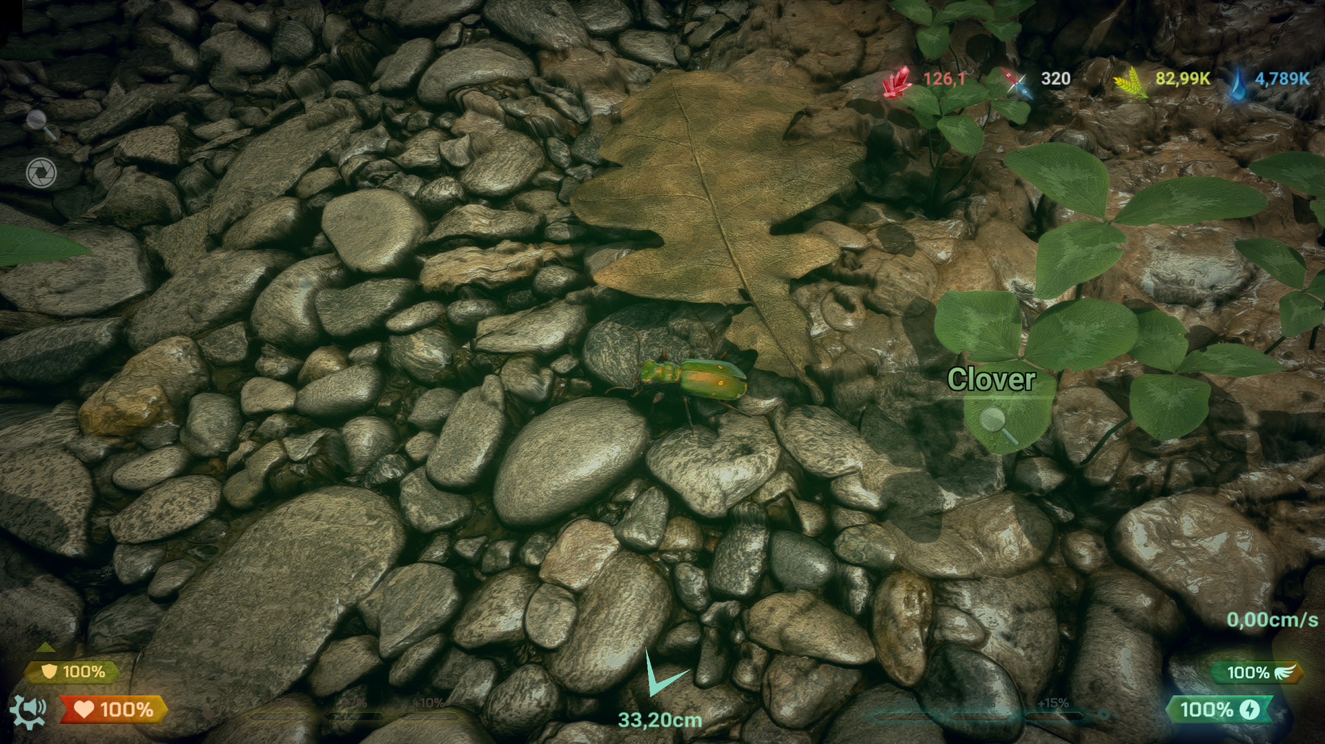 Insect Worlds Demo #12