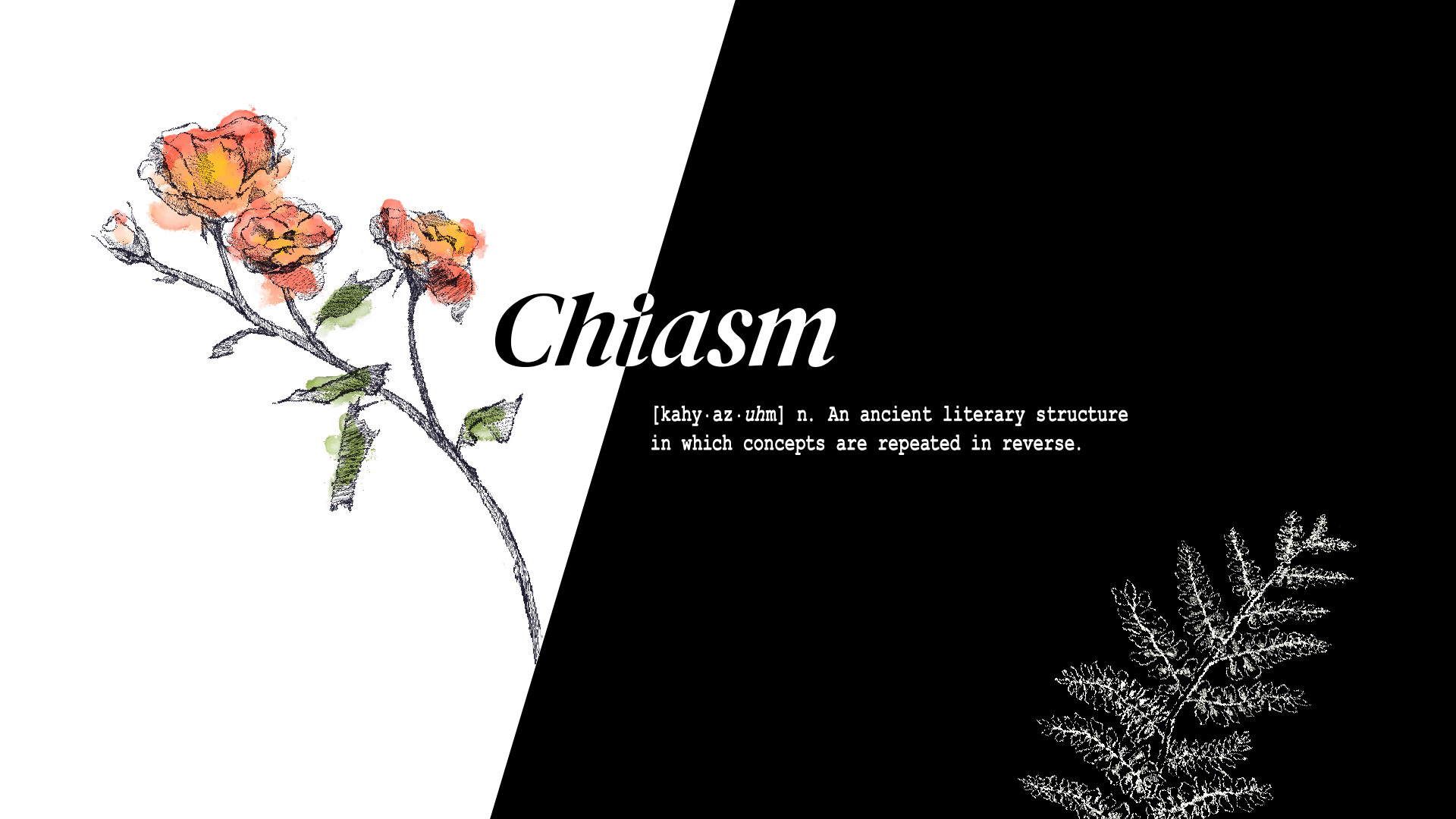 Chiasm Demo #0