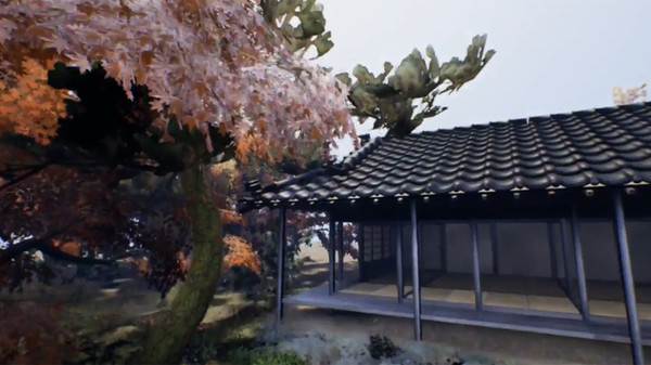 VR Balloon Flying over Tokyo and Hokkaido game for Linux 1