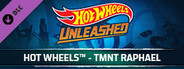 HOT WHEELS™ - TMNT Raphael