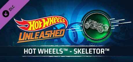 HOT WHEELS™ - Skeletor™