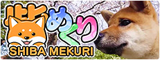 Shiba Mekuri 柴めくり