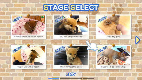 Shiba Mekuri 柴めくり