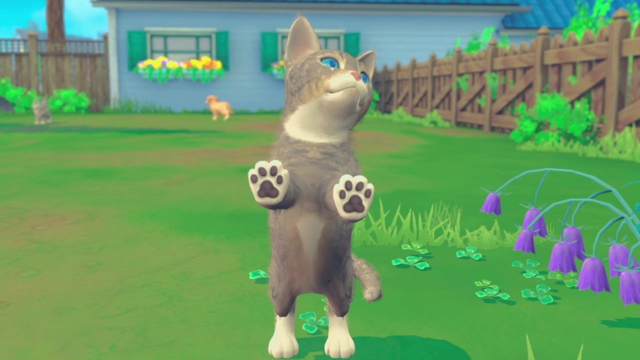 My Universe - Puppies & Kittens Free Download
