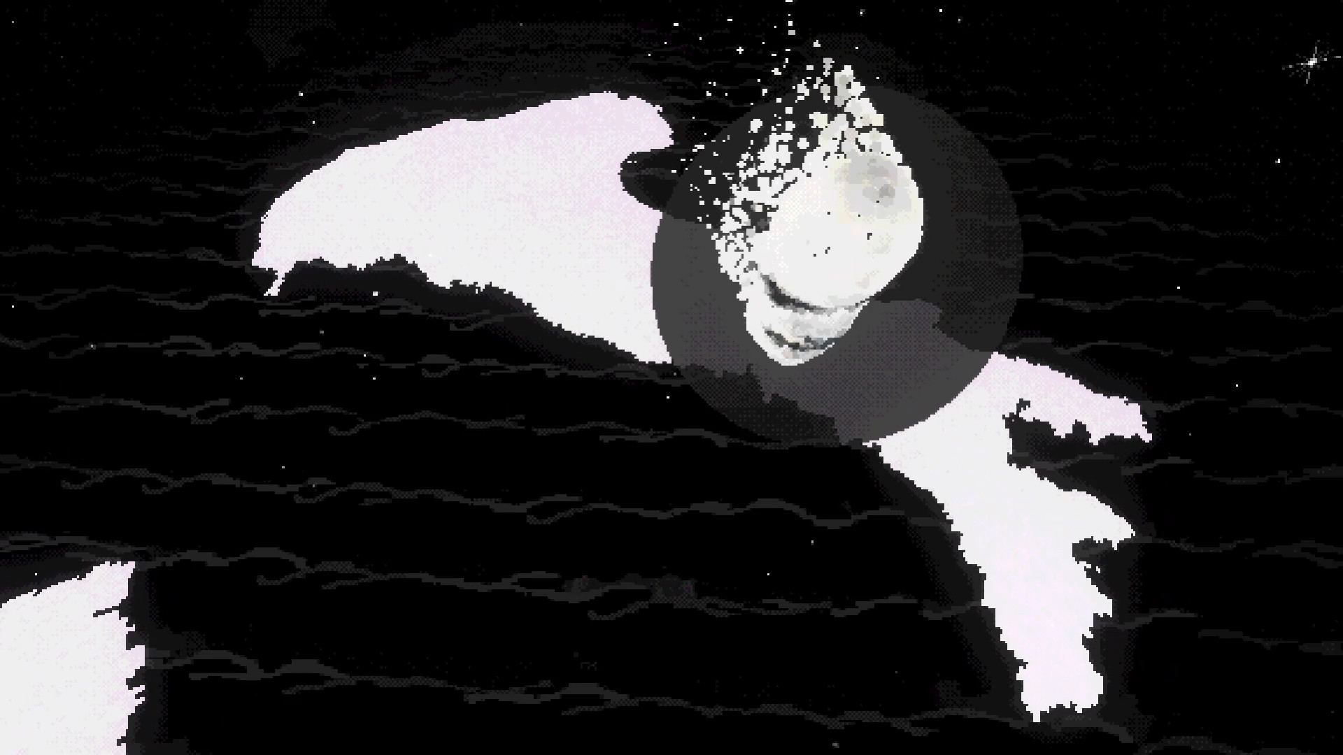 CUCCCHI screenshot 6
