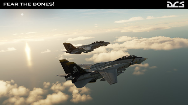 DCS: F-14A Fear the Bones Campaign