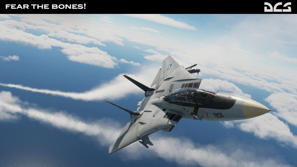 скриншот DCS: F-14A Fear the Bones Campaign 2