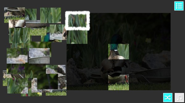 StOoPiD Puzzle Gamefor windows and Linux 1