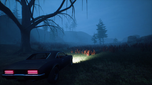 Скриншот из Welcome to PINEHILLS