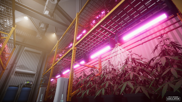 Скриншот из Drug Grower Simulator