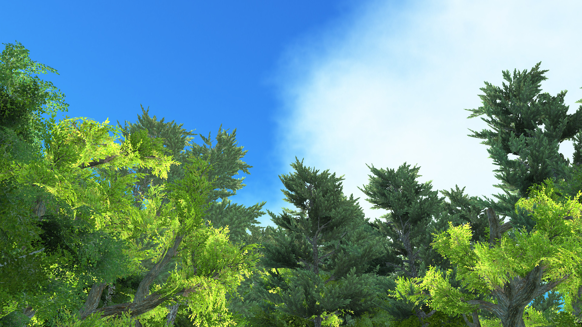 One thousand baht simulator #3