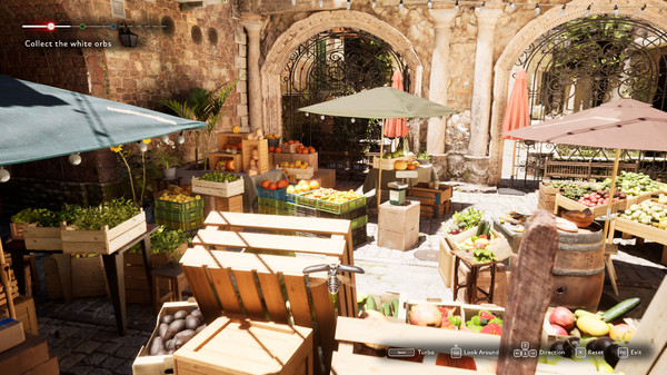 The Market of Lightfor windows and Linux 1