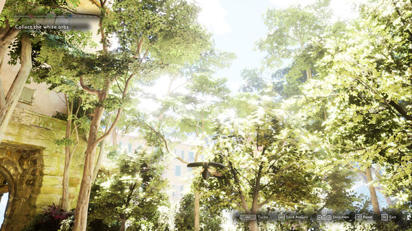 The Market of Light game for Linux 1