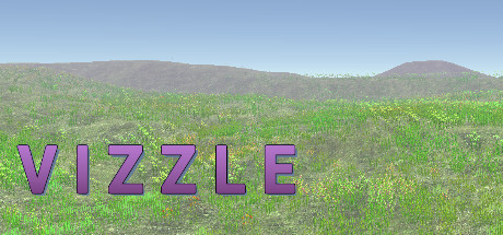 Vizzle Cover Image