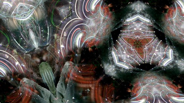 скриншот Kaleye 2