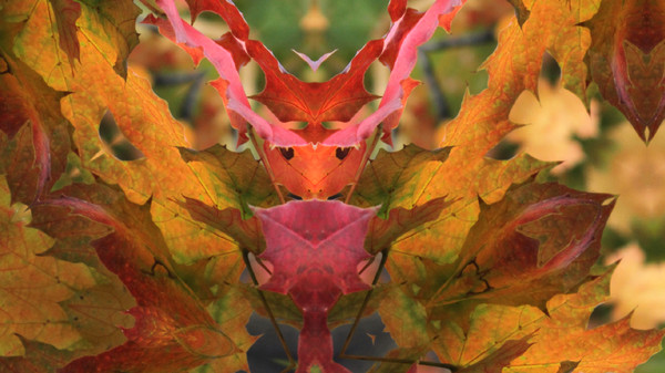 скриншот Kaleye 4