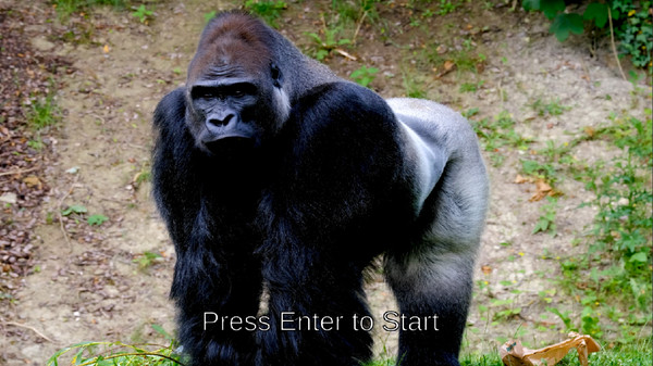 Скриншот из Hodl Simulator