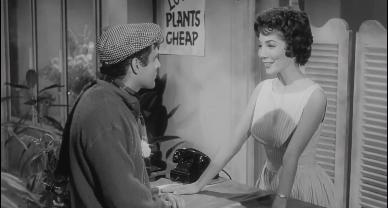 ROUGH KUTS: The Little Shop of Horrors screenshot screenshot 3